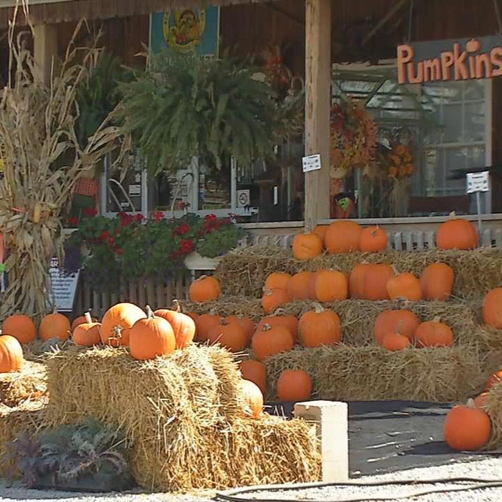 Country Corner Greenhouse closes 2.jpg